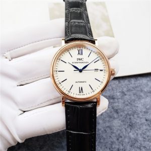 IWC Schaffhausen Automatic Leather strap- 39mm -Replica watches